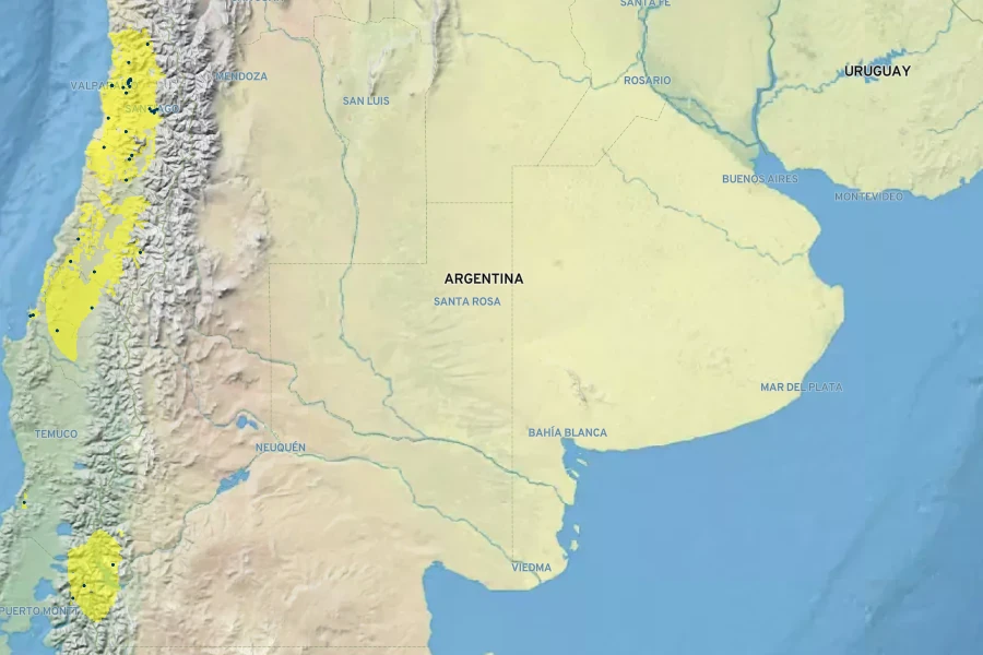 Crinodendron patagua Native Range