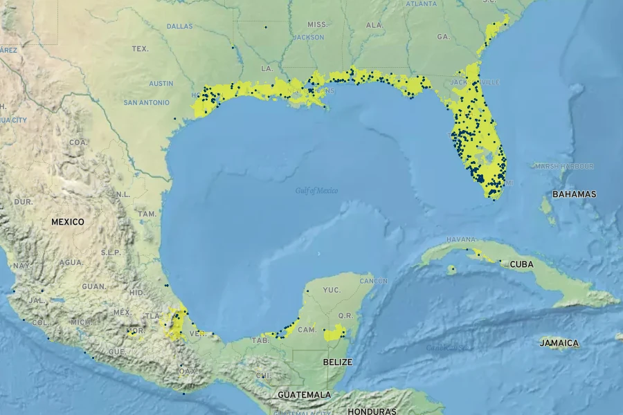 Crinum americanum Native Range