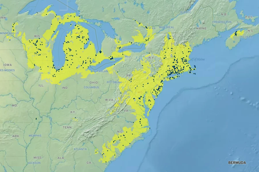 Crocanthemum canadense Native Range