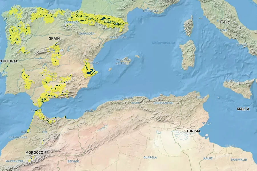 Crocus salzmannii Native Range