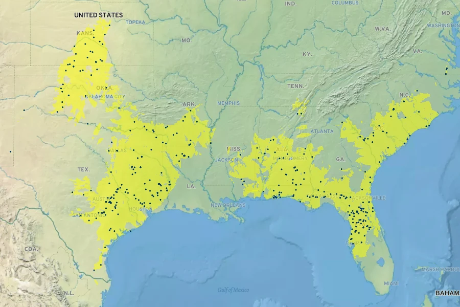 Croptilon divaricatum Native Range