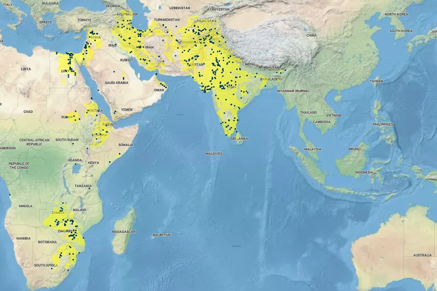 Cucumis melo Native Range