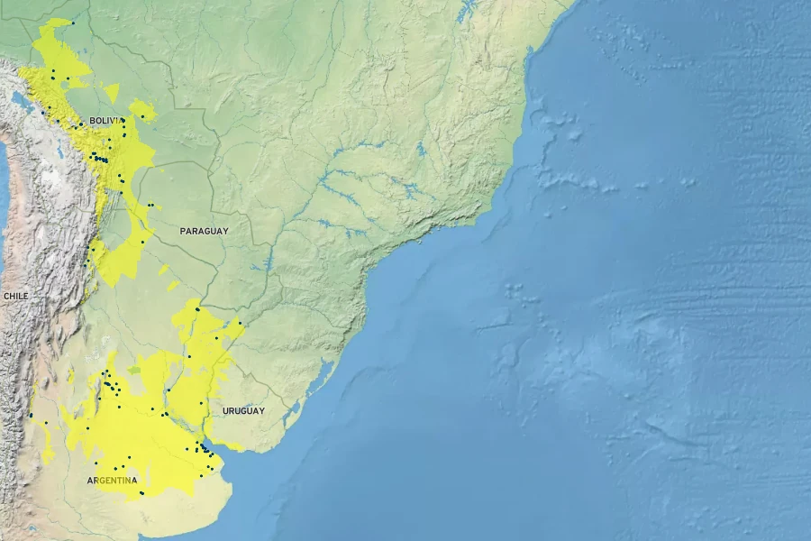 Cucurbita maxima Native Range