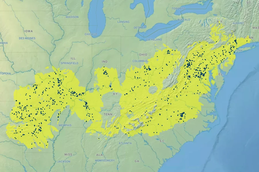 Cunila origanoides Native Range