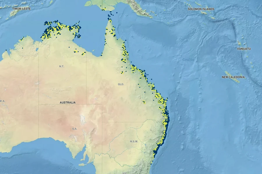 Cupaniopsis anacardioides Native Range