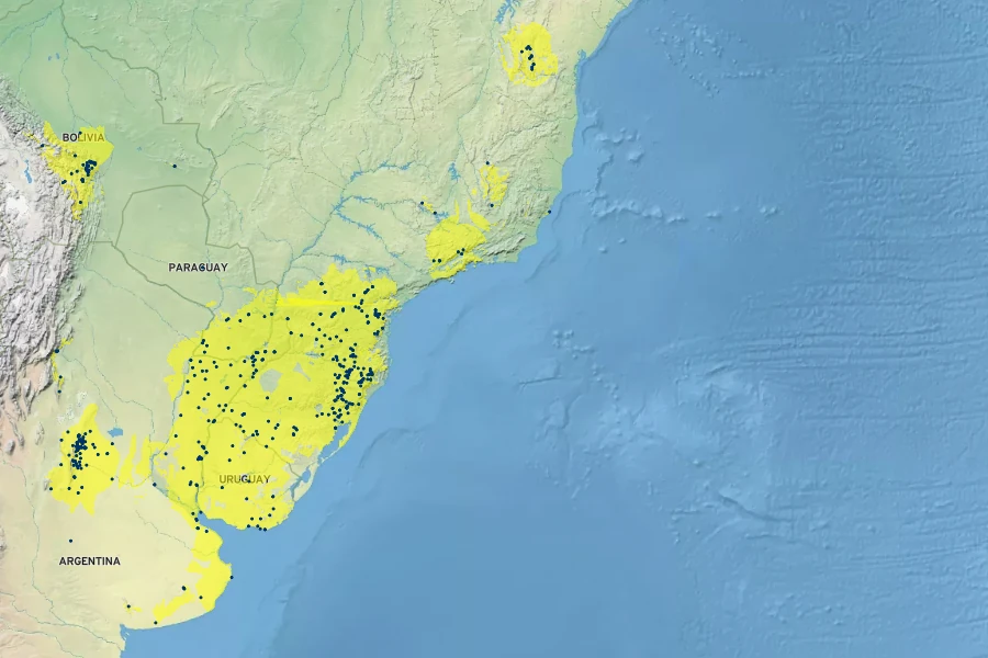 Cuphea glutinosa Native Range