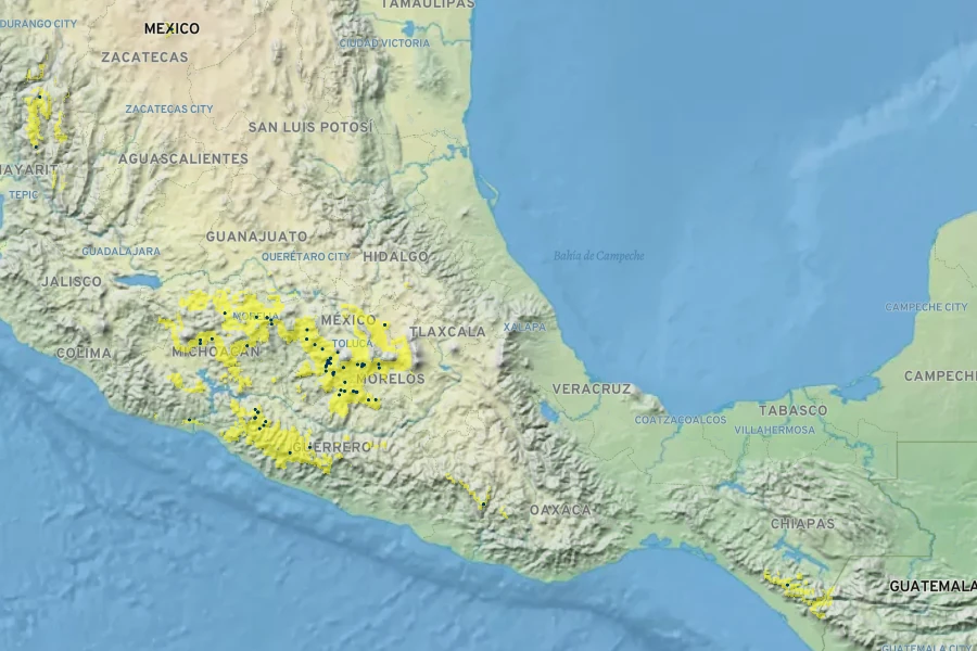 Cuphea heterophylla Native Range