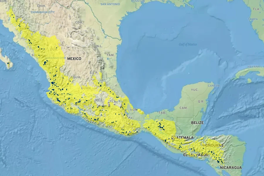 Cuphea hookeriana Native Range