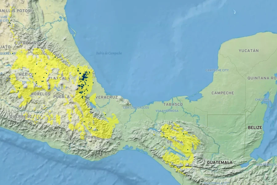 Cuphea nitidula Native Range