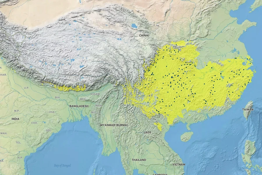 Cupressus funebris Native Range