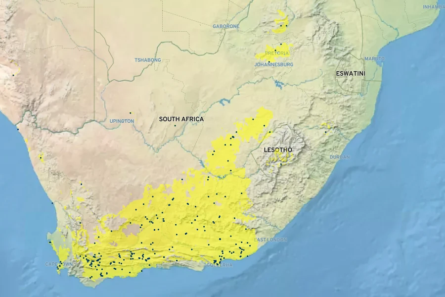 Curio radicans Native Range