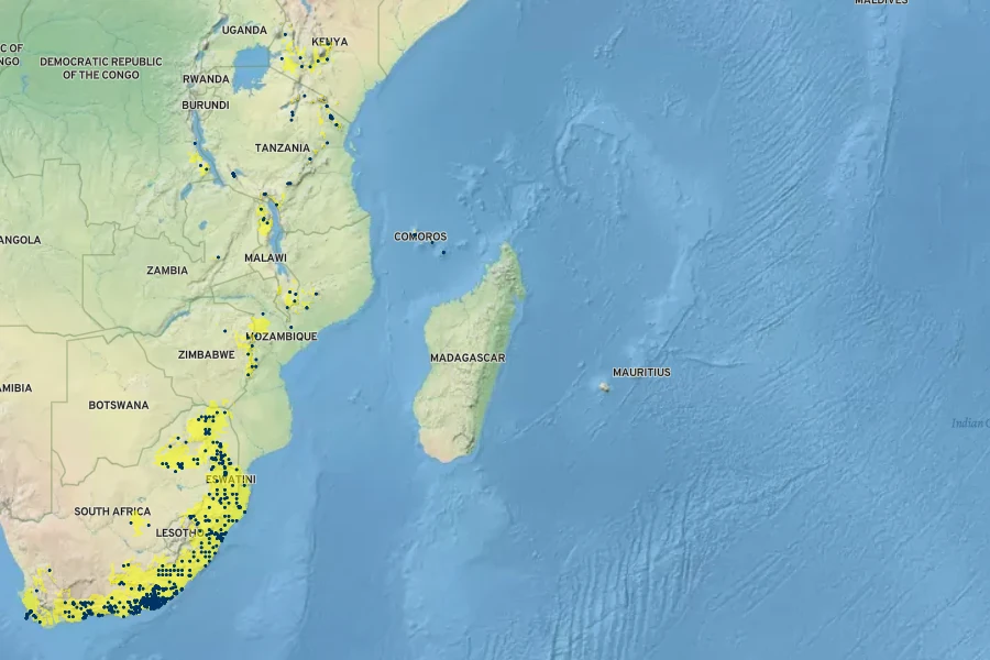 Cussonia spicata Native Range
