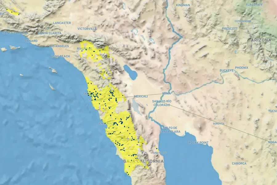 Cylindropuntia californica Native Range
