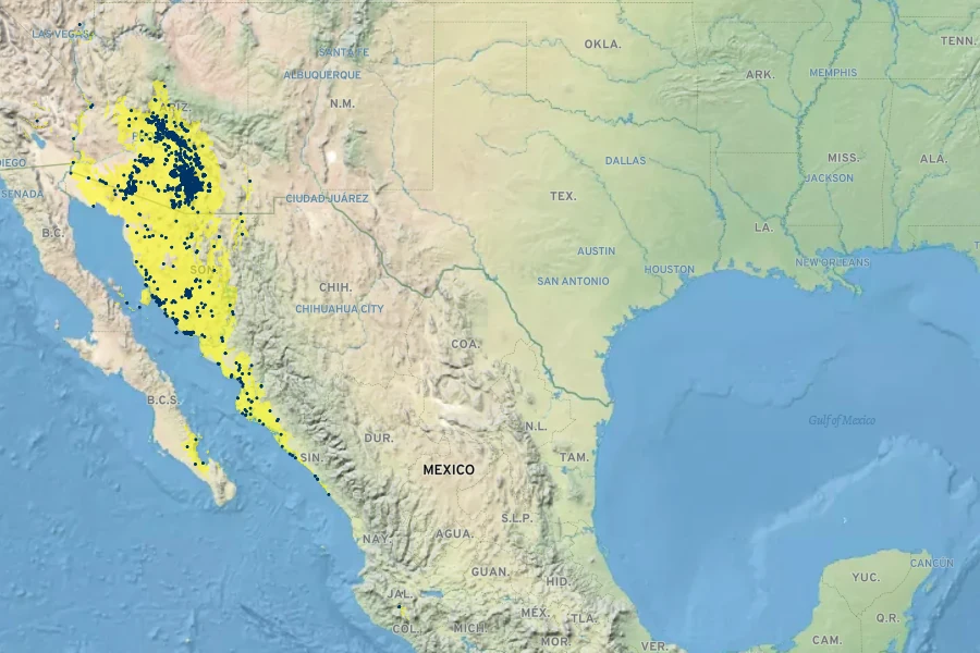 Cylindropuntia fulgida Native Range