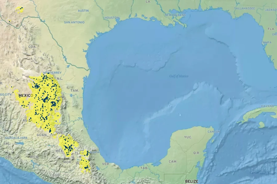 Cylindropuntia tunicata Native Range