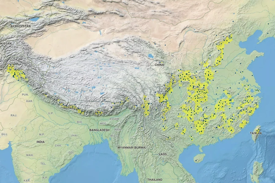 Cynanchum auriculatum Native Range
