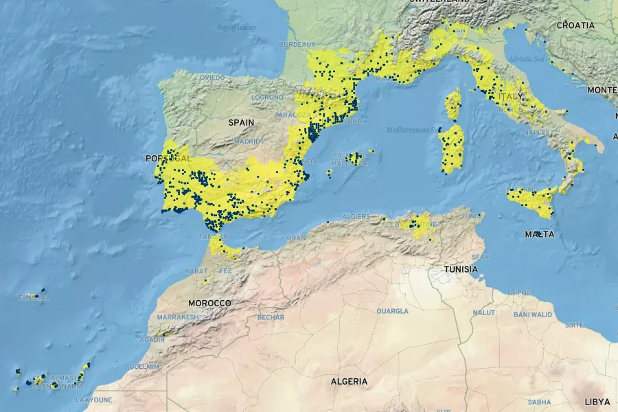 Cynara cardunculus Native Range