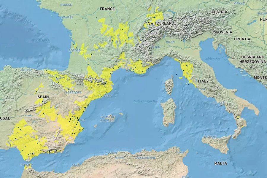 Cynara scolymus Native Range