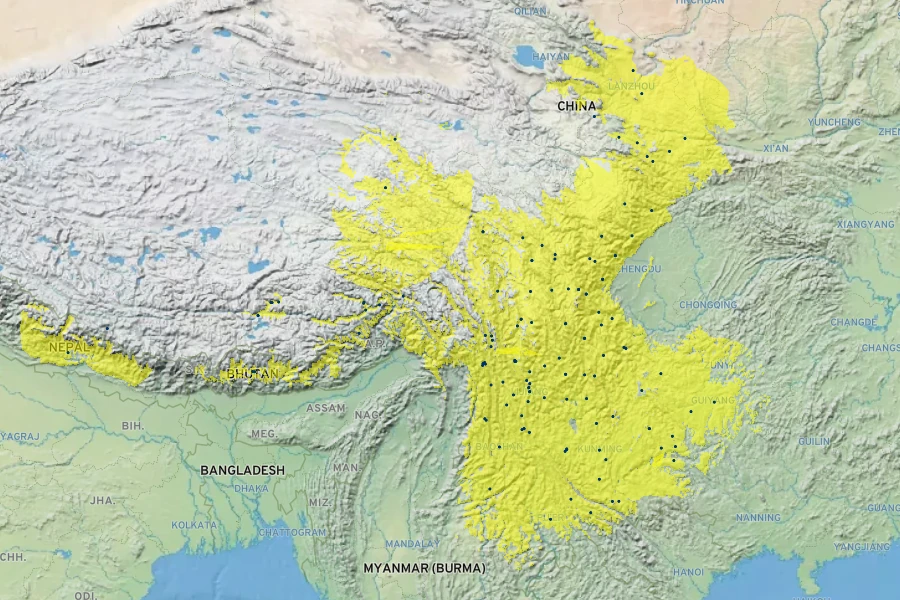 Cynoglossum amabile Native Range