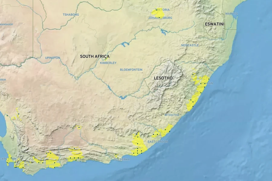 Cyperus alternifolius subsp. textilis Native Range