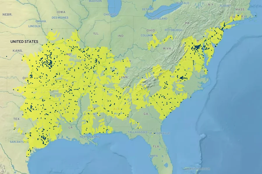 Cyperus echinatus Native Range