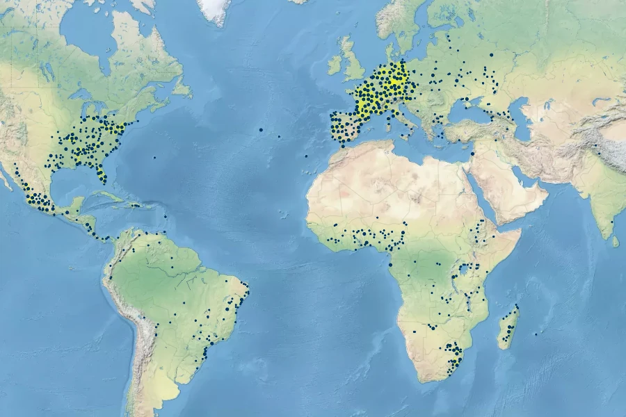 Cyperus flavescens Native Range