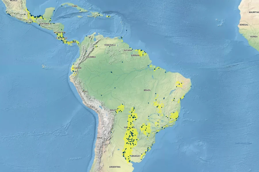 Cyperus giganteus Native Range