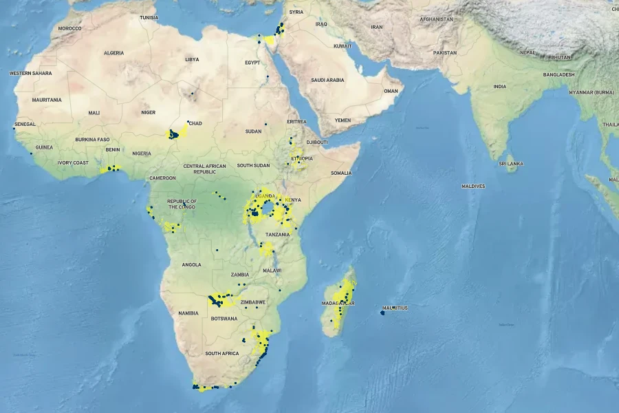 Cyperus papyrus Native Range