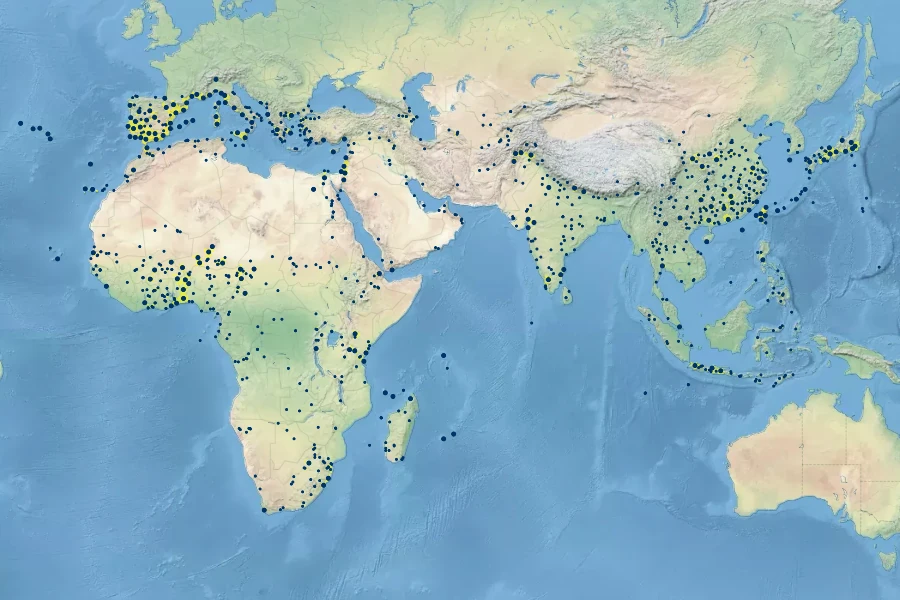 Cyperus rotundus Native Range