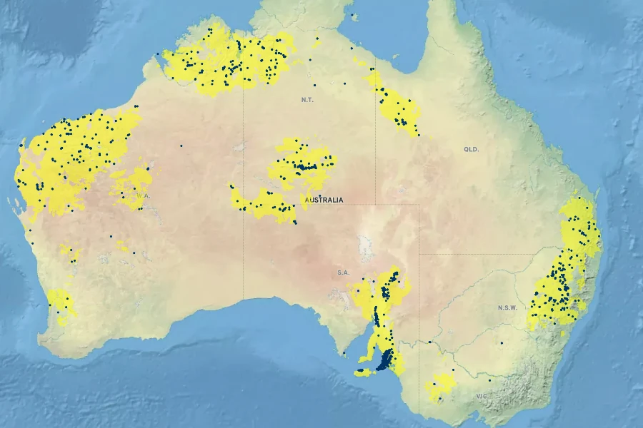 Cyperus vaginatus Native Range