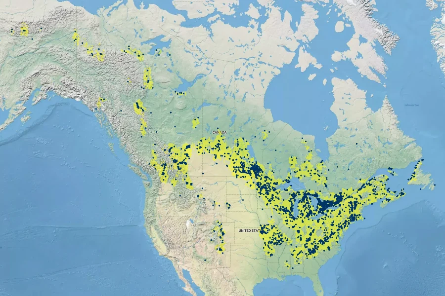 Cypripedium parviflorum Native Range