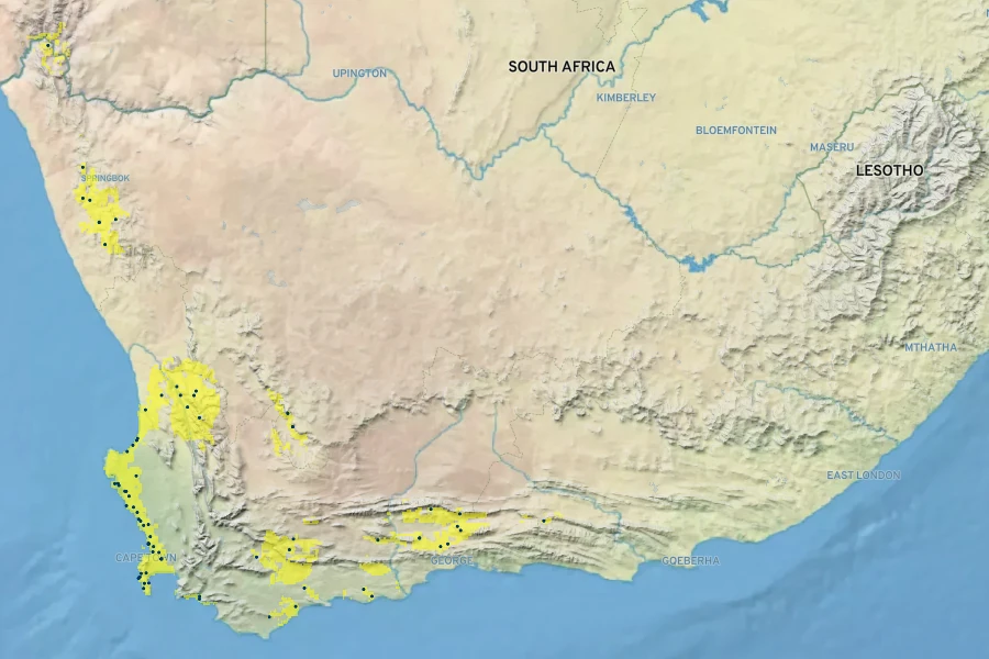 Cysticapnos vesicaria Native Range