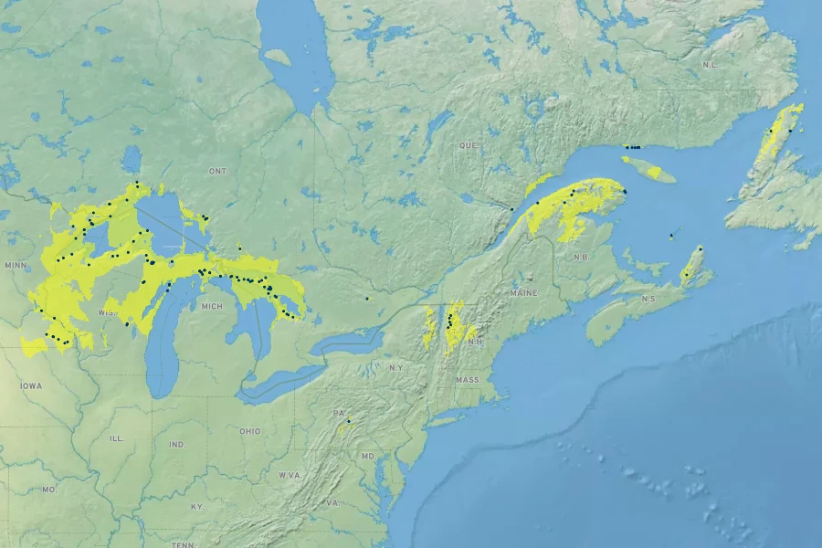Cystopteris laurentiana Native Range