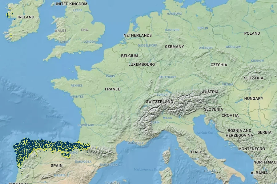 Daboecia cantabrica Native Range