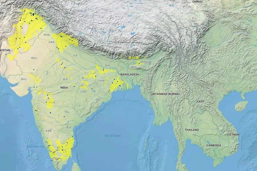 Dalbergia sissoo Native Range