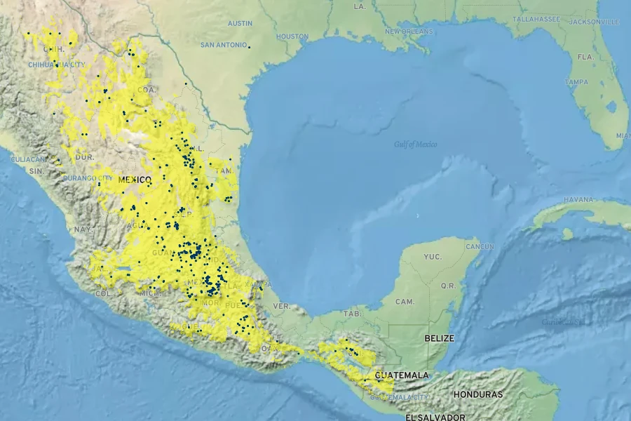Dalea lutea Native Range