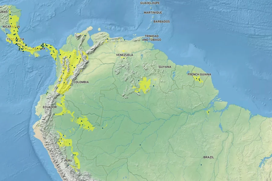 Dalechampia dioscoreifolia Native Range