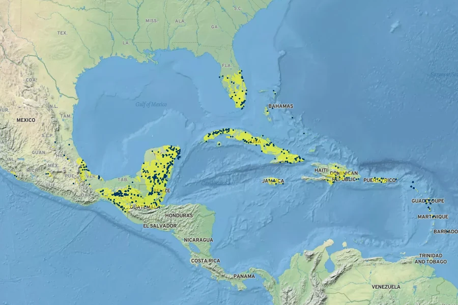 Damburneya coriacea Native Range