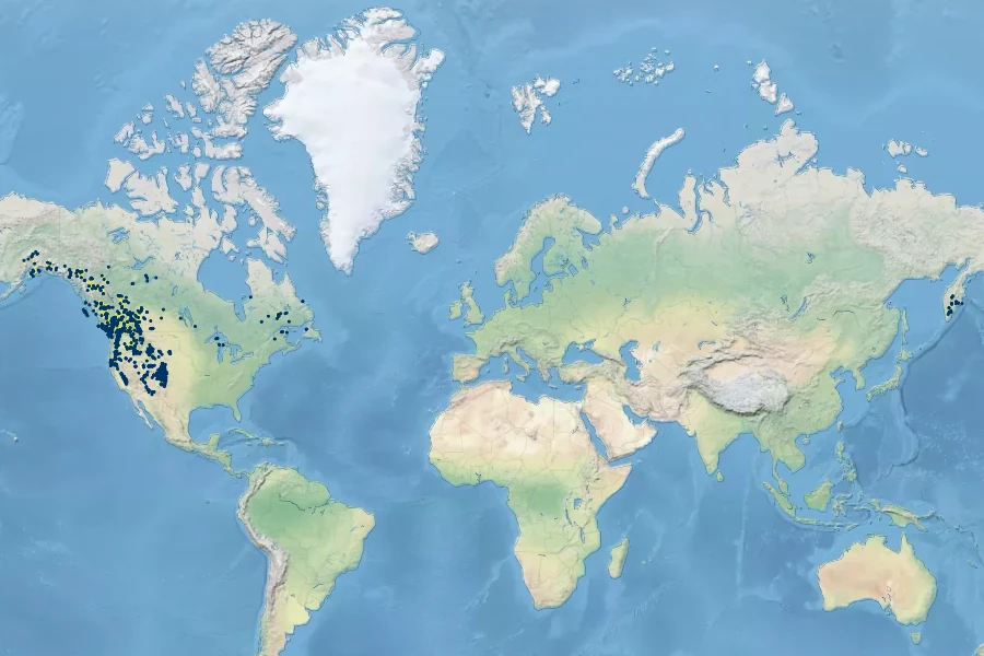 Danthonia intermedia Native Range