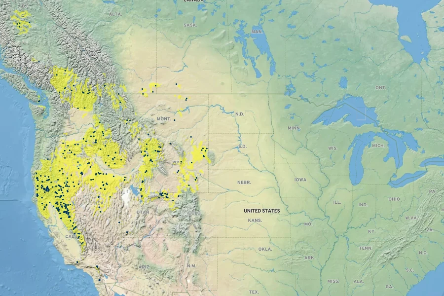 Danthonia unispicata Native Range