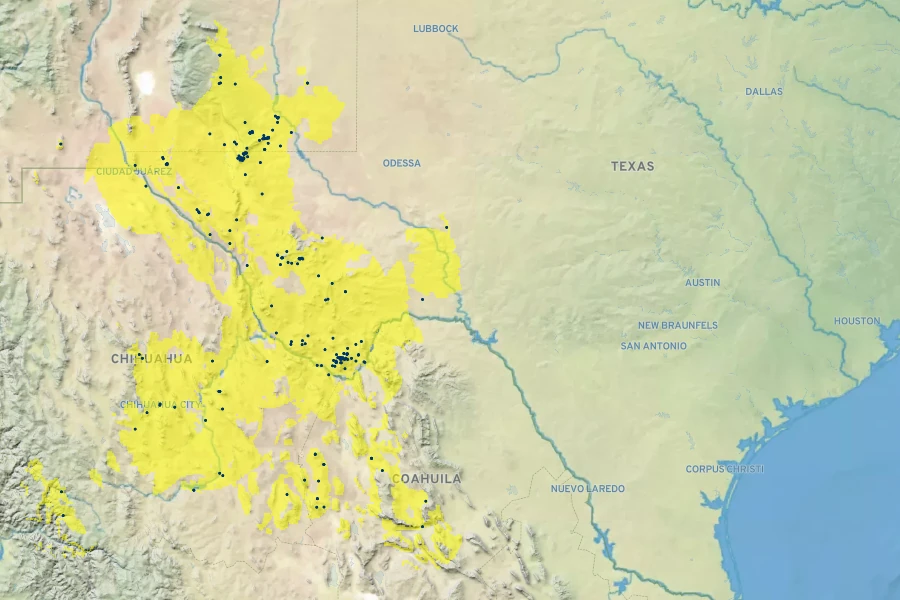 Dasylirion leiophyllum Native Range