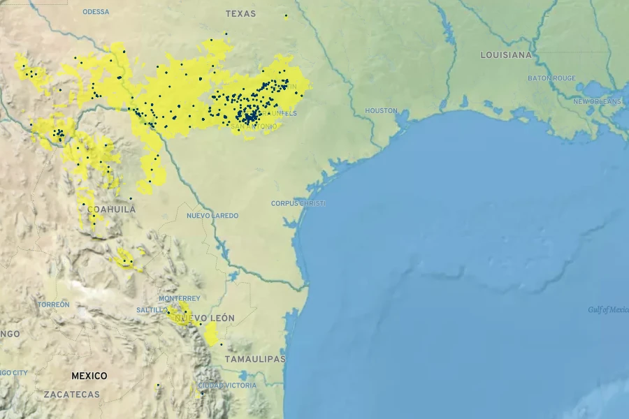 Dasylirion texanum Native Range