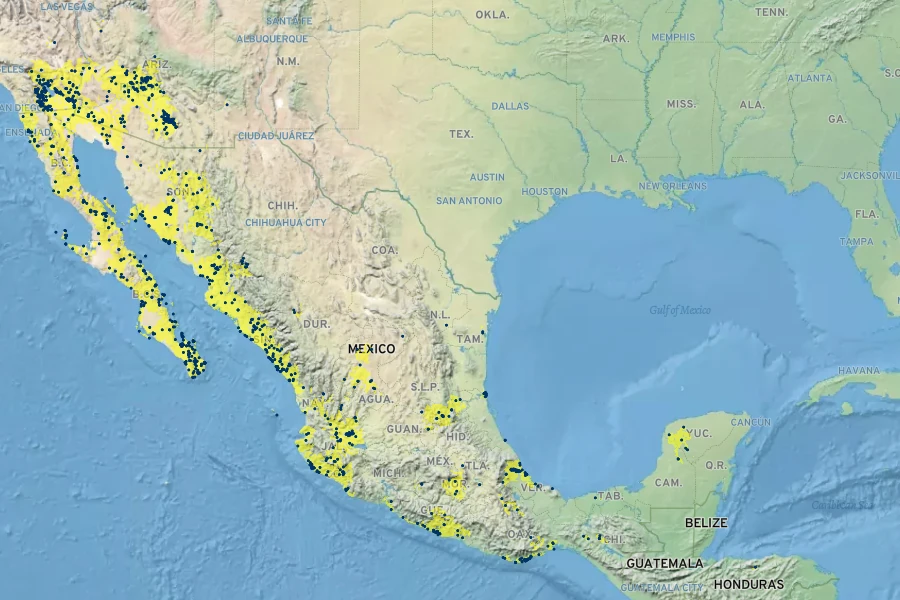 Datura discolor Native Range