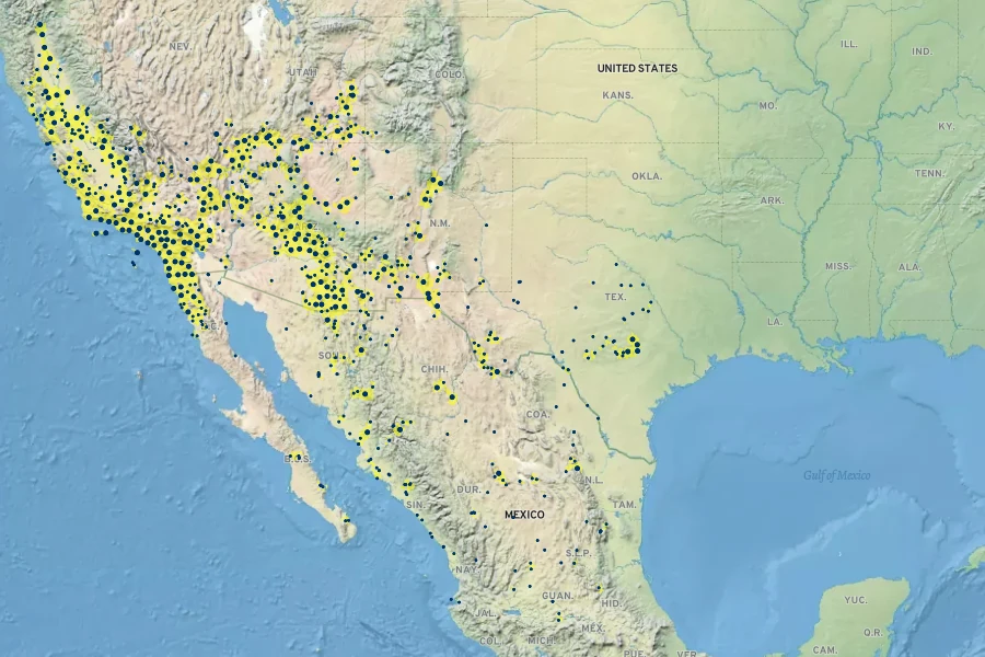 Datura wrightii Native Range