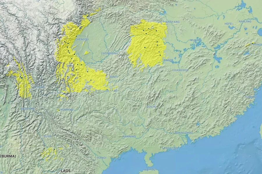 Davidia involucrata Native Range
