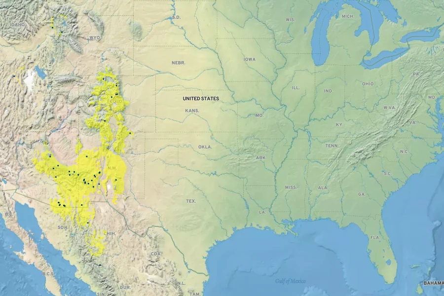 Delphinium scopulorum Native Range