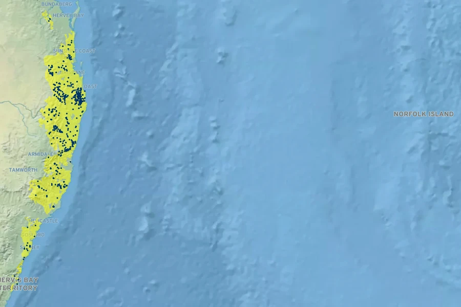 Dendrobium kingianum Native Range
