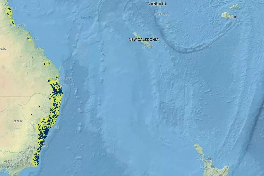 Dendrobium speciosum Native Range