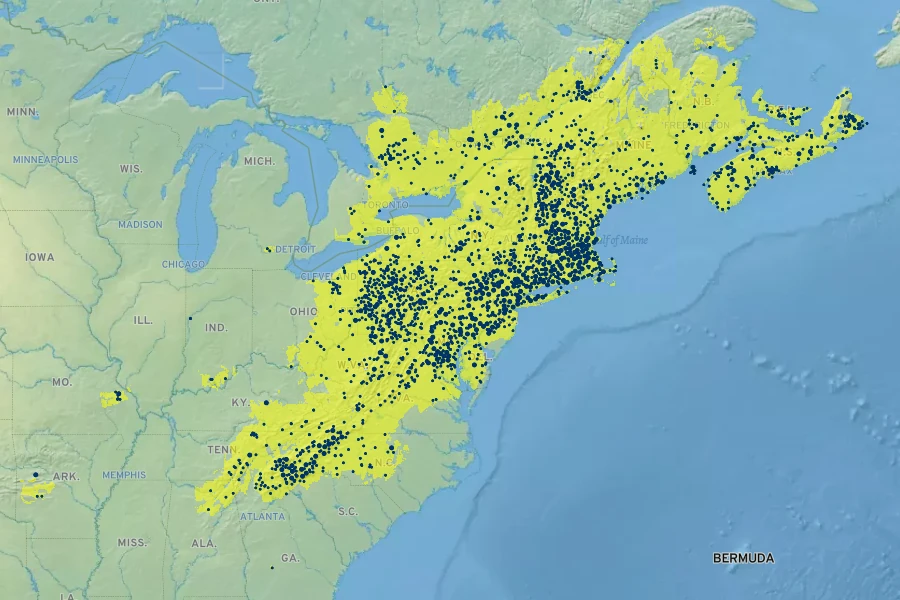 Dennstaedtia punctilobula Native Range