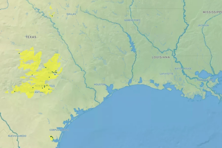 Desmanthus reticulatus Native Range